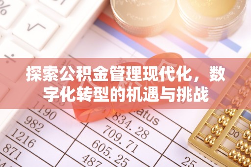冷水滩探索公积金管理现代化，数字化转型的机遇与挑战