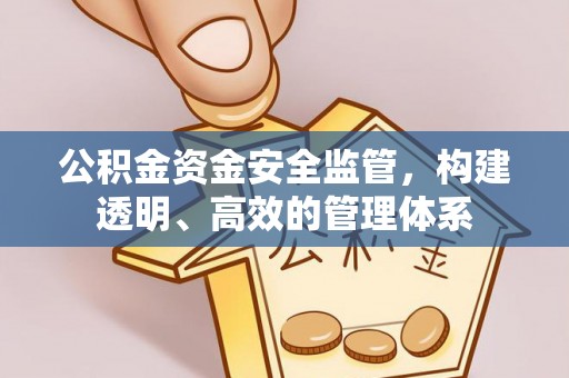 冷水滩公积金资金安全监管，构建透明、高效的管理体系