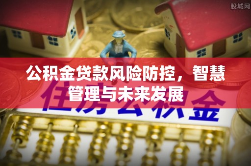 冷水滩公积金贷款风险防控，智慧管理与未来发展
