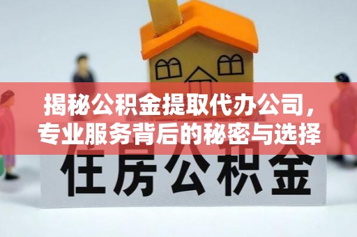 冷水滩揭秘公积金提取代办公司，专业服务背后的秘密与选择指南
