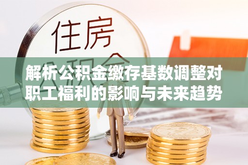 冷水滩解析公积金缴存基数调整对职工福利的影响与未来趋势