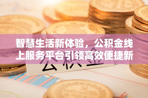 冷水滩智慧生活新体验，公积金线上服务平台引领高效便捷新潮流
