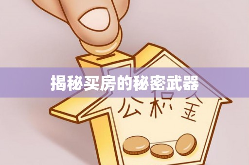 冷水滩揭秘买房的秘密武器