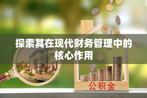 冷水滩探索其在现代财务管理中的核心作用