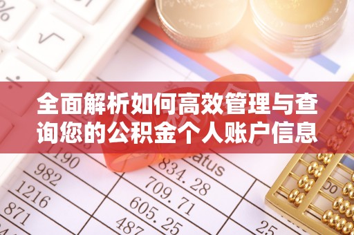 冷水滩全面解析如何高效管理与查询您的公积金个人账户信息