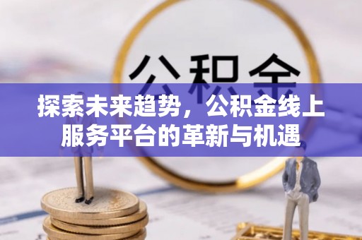 冷水滩探索未来趋势，公积金线上服务平台的革新与机遇