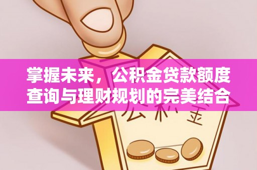 冷水滩掌握未来，公积金贷款额度查询与理财规划的完美结合