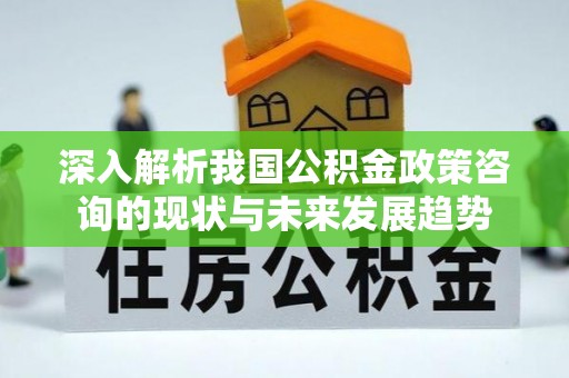 冷水滩深入解析我国公积金政策咨询的现状与未来发展趋势