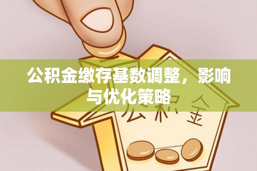 冷水滩公积金缴存基数调整，影响与优化策略
