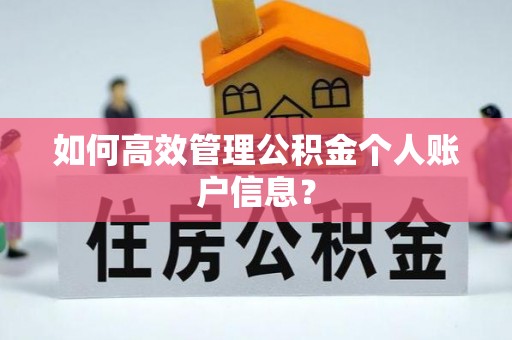 冷水滩如何高效管理公积金个人账户信息？