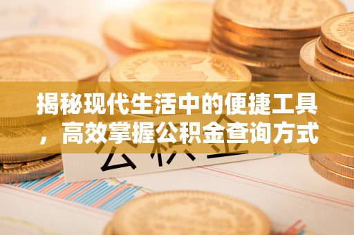 冷水滩揭秘现代生活中的便捷工具，高效掌握公积金查询方式