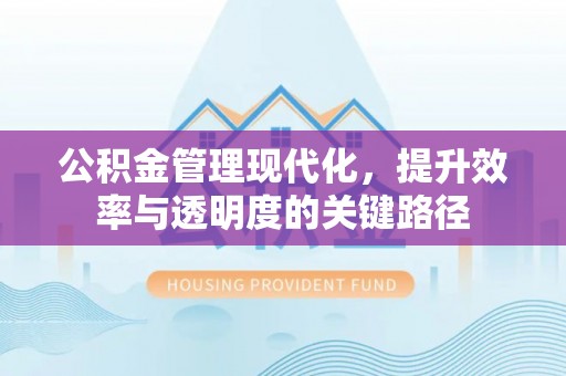 冷水滩公积金管理现代化，提升效率与透明度的关键路径