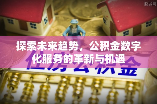 冷水滩探索未来趋势，公积金数字化服务的革新与机遇