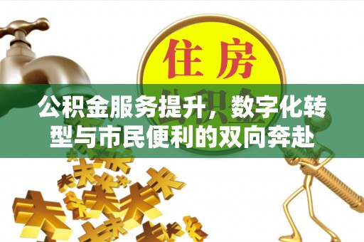 冷水滩公积金服务提升，数字化转型与市民便利的双向奔赴