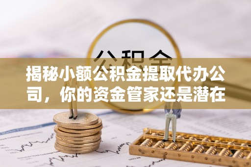 冷水滩揭秘小额公积金提取代办公司，你的资金管家还是潜在陷阱？