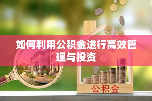 冷水滩如何利用公积金进行高效管理与投资
